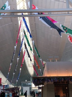 21601835-8C1A-48FD-BA41-8046A739FE19.jpeg