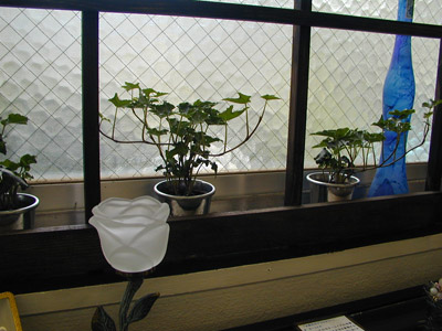 P09.jpg