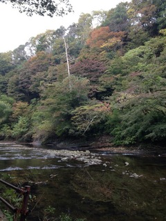 image-811eb.jpg
