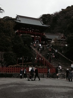 image-a509f.jpg