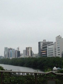 image-ea9f3.jpg